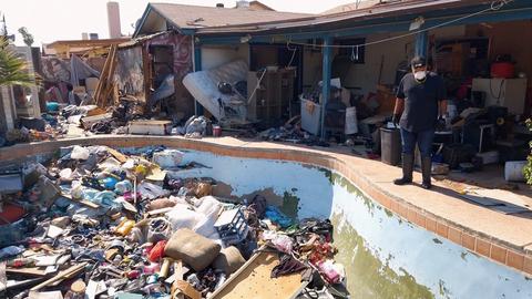 Puny vs. Putrid vs. Plain