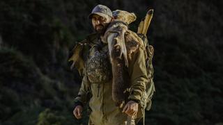 Boars and Prehistoric Fish