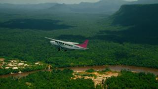 Bungle in the Jungle Bungle in the Jungle