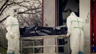 While the Rest of Us Die