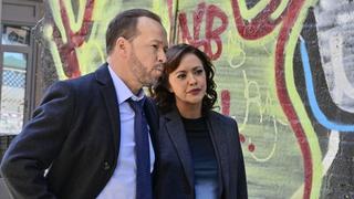 Blue Bloods