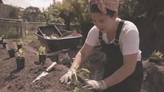 A Busy Spring A Busy Spring