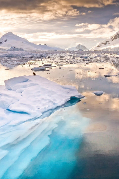 Expedition Antarctica
