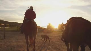 Murder in the Heartland