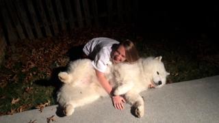 Stubborn Pets Stubborn Pets