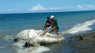 Legendary Creatures of the Forest Legendary Creatures of the Forest