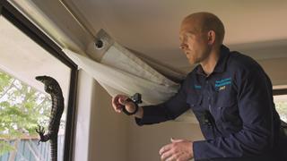 Aussie Snake Wranglers