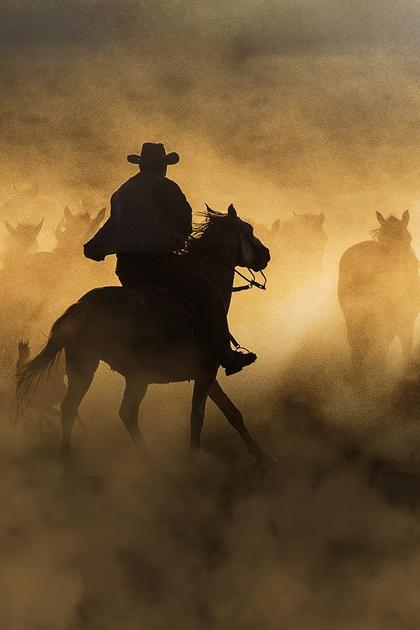 Freedom on the Range
