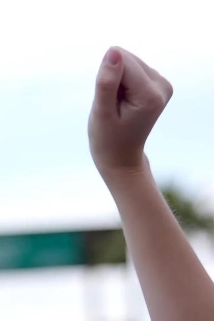 The Patriots: How a Political Movement Took Root and Became a Force in Arizona