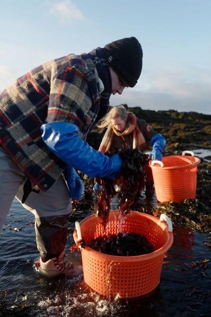 A Taste of Reykjavik