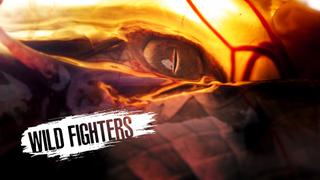 Wild Fighters