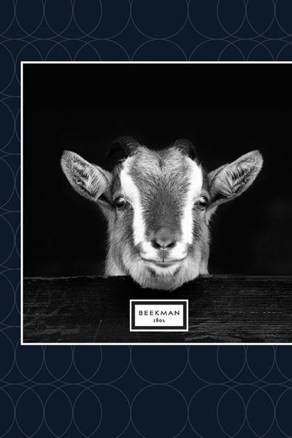 Beekman 1802 Beauty - All On Free Shipping