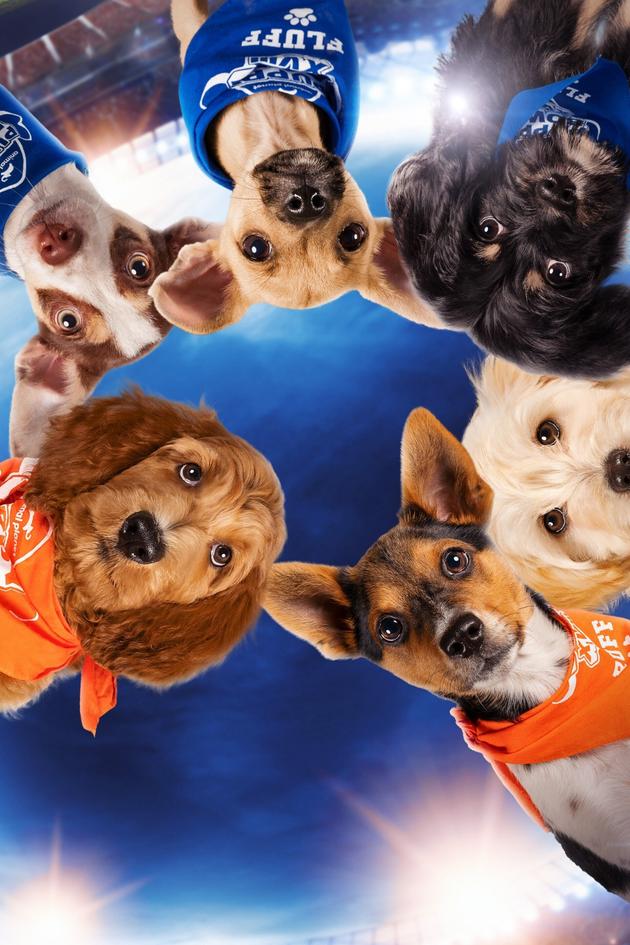 Puppy Bowl XVIII: Pre-Game Show