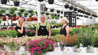 Grace's House Grace's House