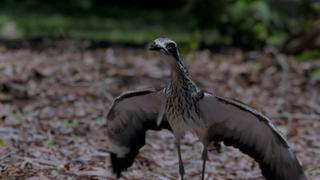 The Fight for Family