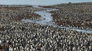 Wildest Places: Antarctic
