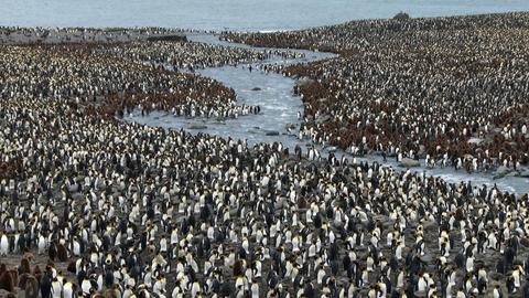 Connected Continents