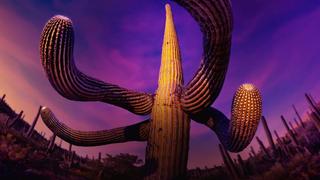 Desert Worlds Desert Worlds