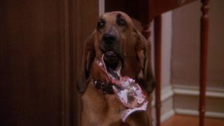 Ruff Goin' Ruff Goin'