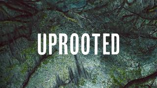 Uprooted