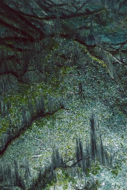 Uprooted