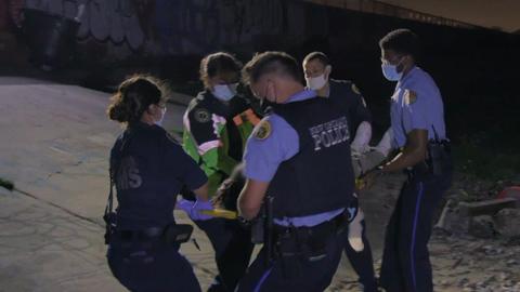 A Walk on the Wild Side