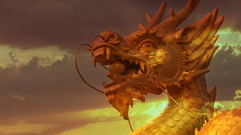 Decoding the Dragon Gods