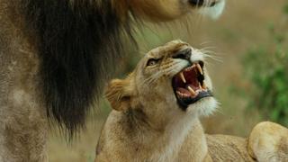 The Fight For Power The Fight For Power