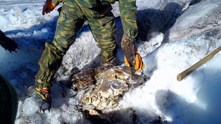 Russias Mountain Mummy