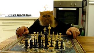 Sneaky Snakes Sneaky Snakes