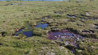 Newfoundland: 2022 Newfoundland: 2022