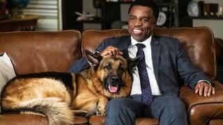 Roses of Signal Hill