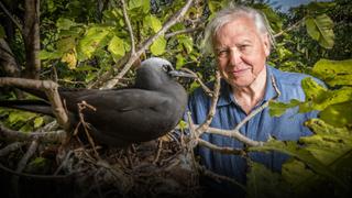 David Attenborough's Global Adventure: Home Planet