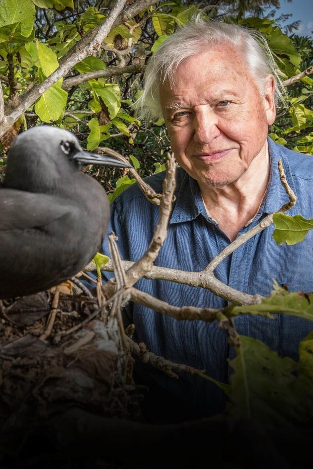 David Attenborough's Global Adventure: Home Planet