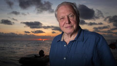 David Attenborough's Global Adventure: The Rise of Nature