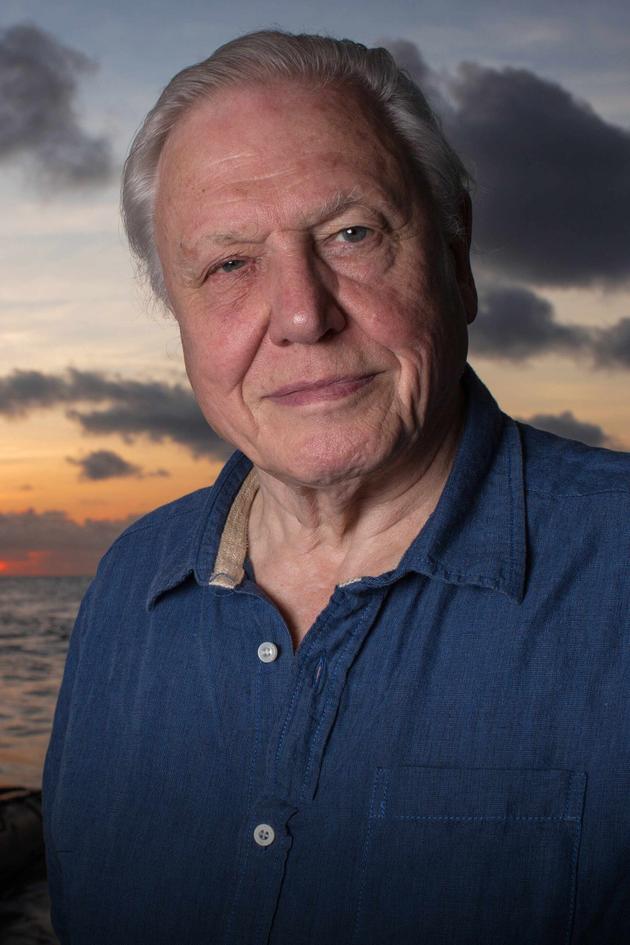 David Attenborough's Global Adventure: The Rise of Nature