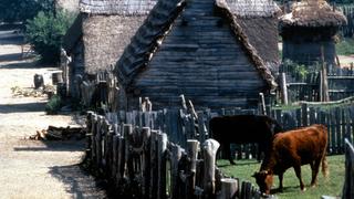 Save Our History