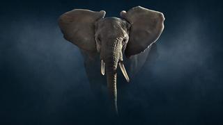 Planet Earth: Dynasties II