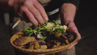 Javelina and Ephedra Javelina and Ephedra