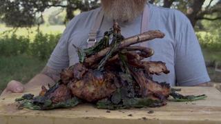 Texas Hog and Beautyberry Texas Hog and Beautyberry