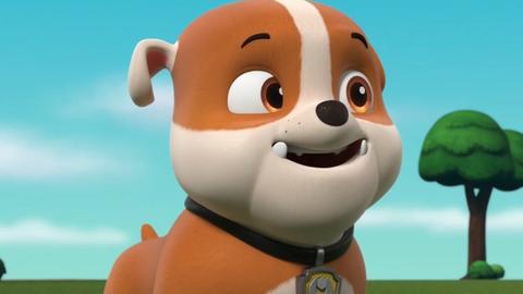 Rubble and Wild in a Yarn of a Tail; Skye and Rory Flip It; Marshall and Leo Save the Ferris Wheel Passengers; Everest and Shade Save a Mountain Goat