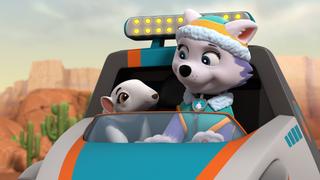 Pups Stop a Big Leak; Pups Save a Baby Anteater; Pups Save a Hatch Day; Pups Save the Munchie Mobile