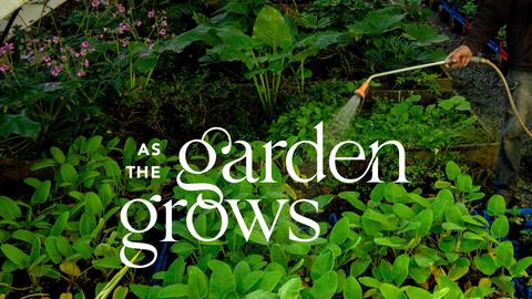 As the Garden Grows