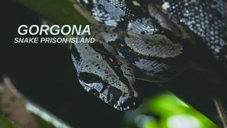 Gorgona: Snake Prison Island