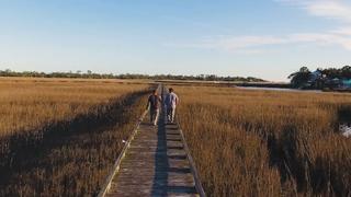 Savannah Hog and Fiddler Crab Savannah Hog and Fiddler Crab