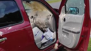 High-End Havoc High-End Havoc