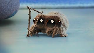 To Catch a Fly; I Can't See You; Lonesome Lucas To Catch a Fly; I Can't See You; Lonesome Lucas