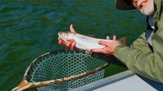 Bowman's Island Charters 2021