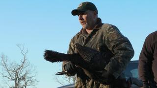 Fowl Play Fowl Play