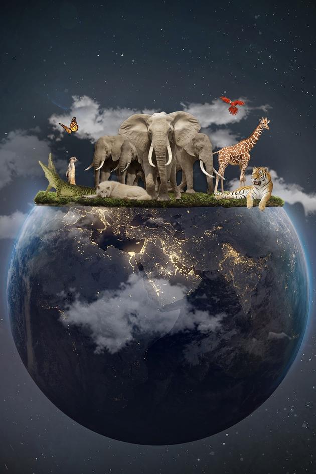 Planet E: Fixing Earth From Your Backyard